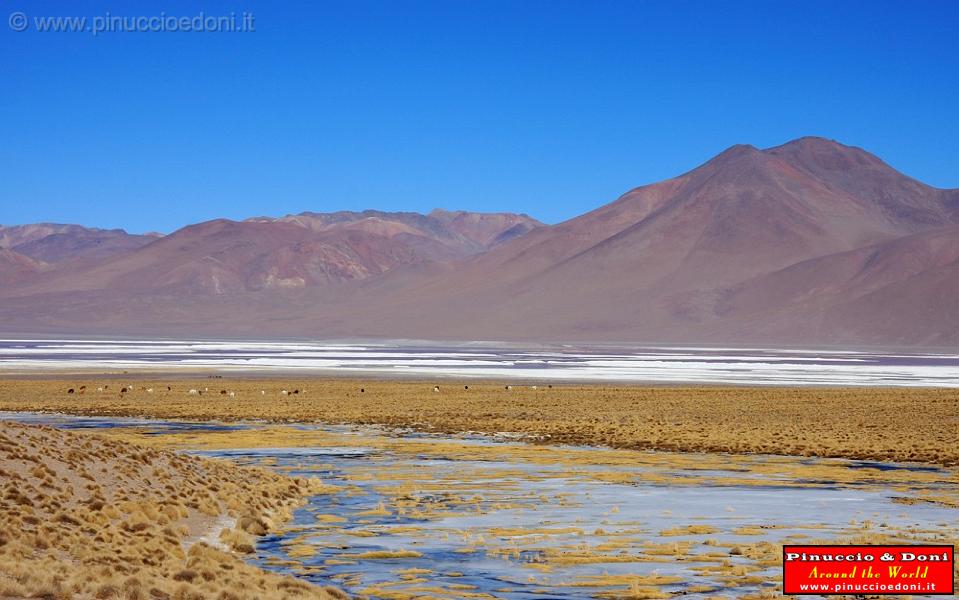 BOLIVIA - Verso il Chile - 04.jpg